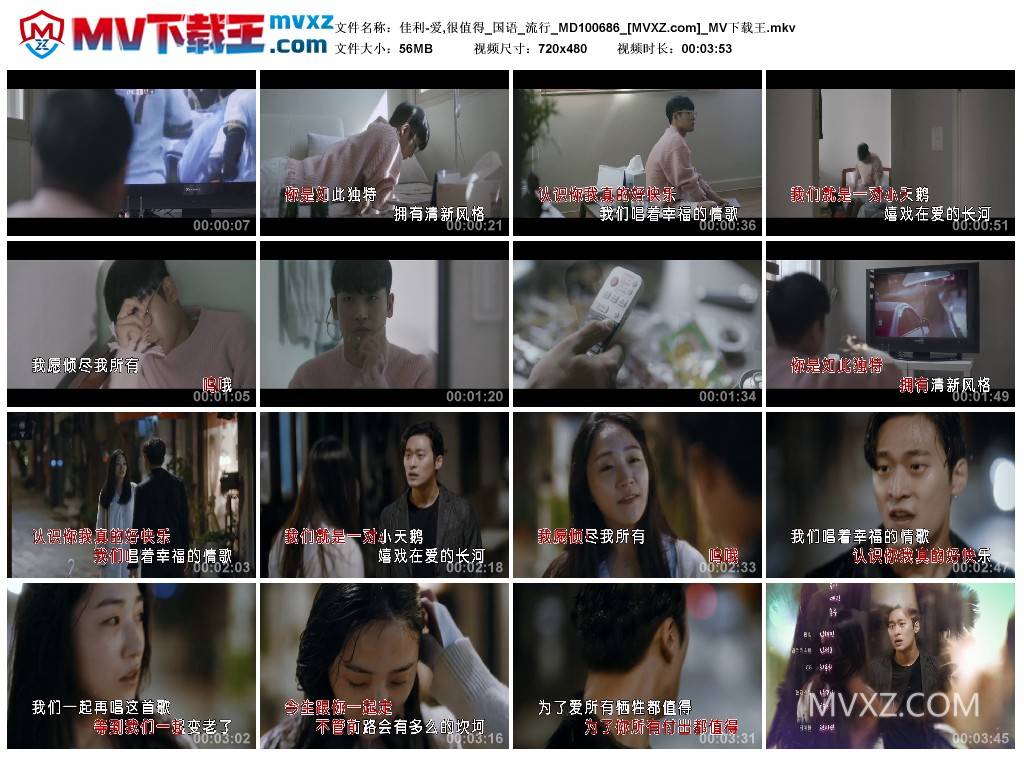 佳利-爱,很值得_国语_流行_MD100686